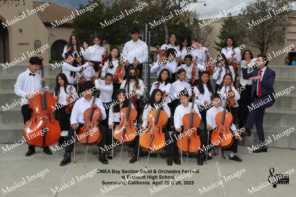 Musical Images